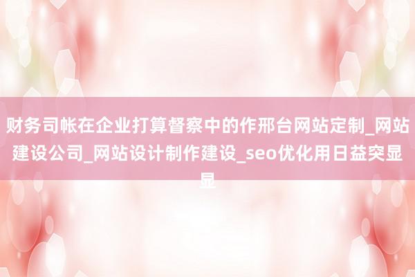 财务司帐在企业打算督察中的作邢台网站定制_网站建设公司_网站设计制作建设_seo优化用日益突显