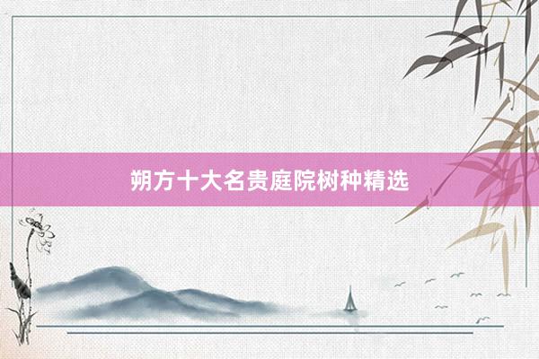 朔方十大名贵庭院树种精选