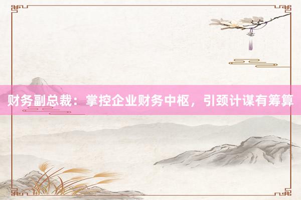财务副总裁：掌控企业财务中枢，引颈计谋有筹算